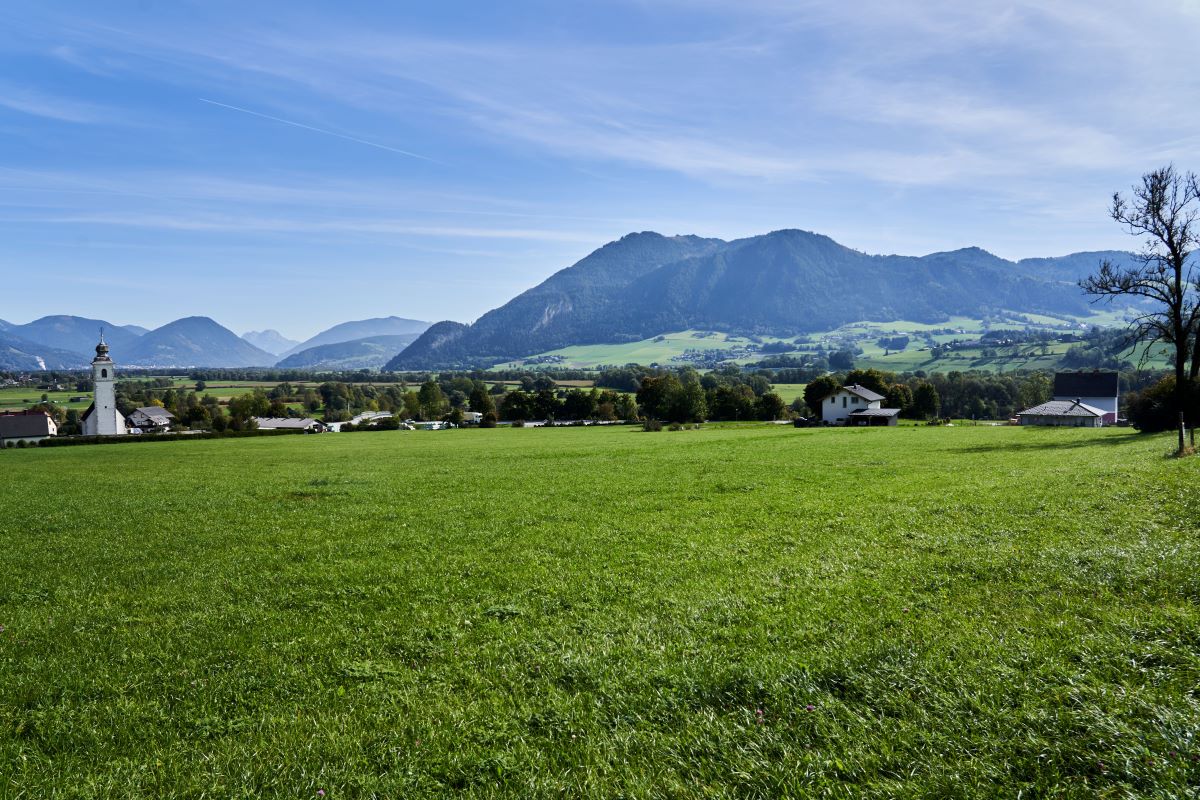 Grundstück Leitspital Region Liezen