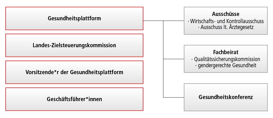 gf_struktur Organe und Gremien des Gesundheitsfonds Steiermark