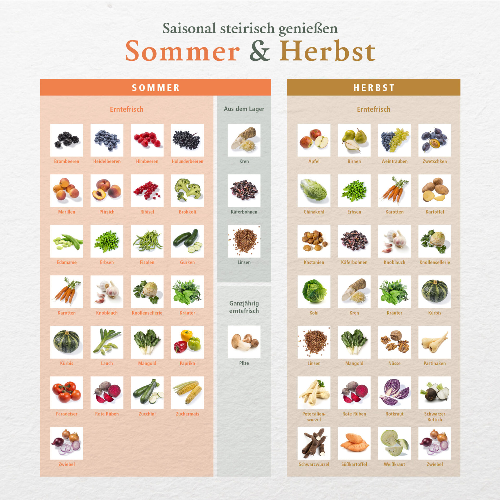 wuerfel-sommer-herbst Saisonkalender Sommer/Herbst (aus dem Steirischen Ernährungswürfel)